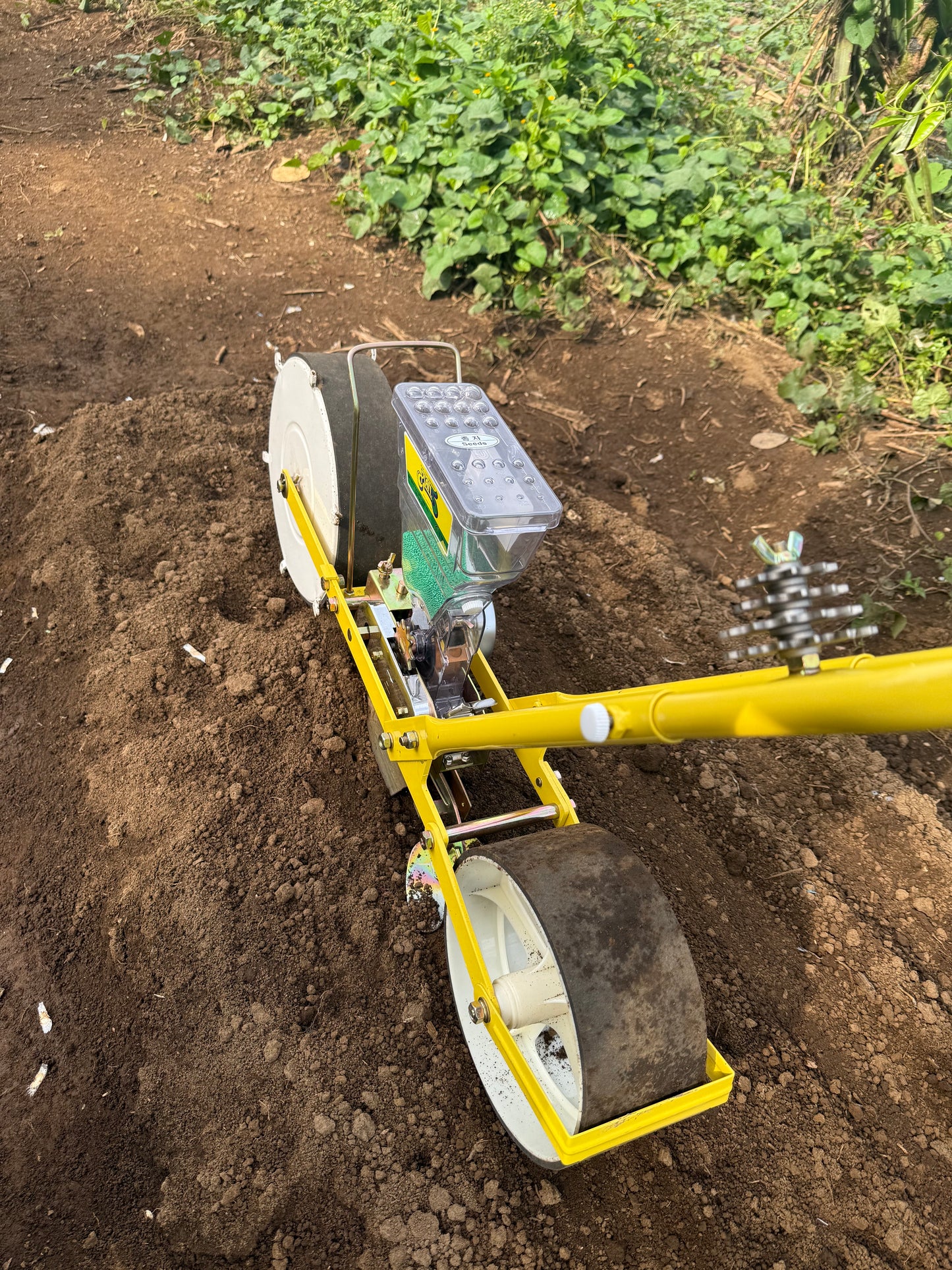 SEMBRADORA DE VEGETALES