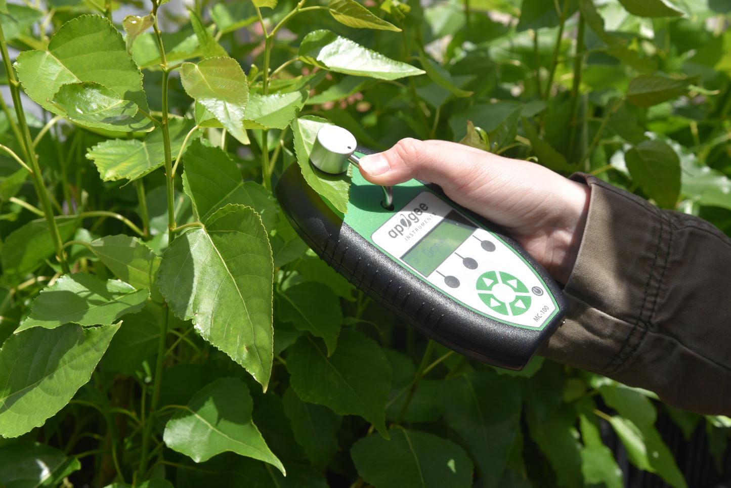 MC-100 MEDIDOR DE CLOROFILA